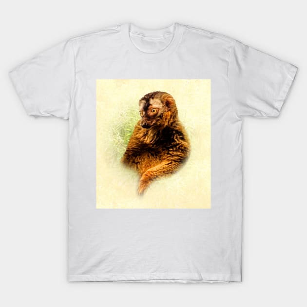 Lemur T-Shirt by Guardi